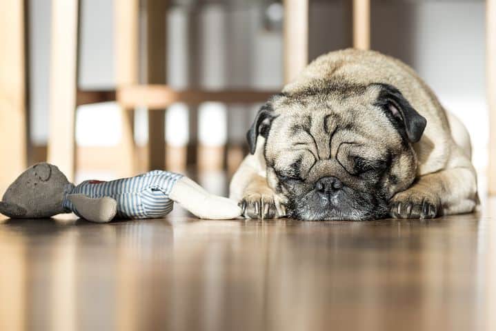 The Importance Of Sleep To Your Health, Sleeping On Hardwood Floor